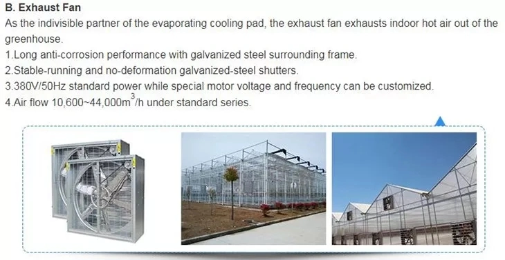 Extractor Axial Fans Ventilation Cooling Ventilator Centrifugal for Warehouse Fan Greenhouse Circulating