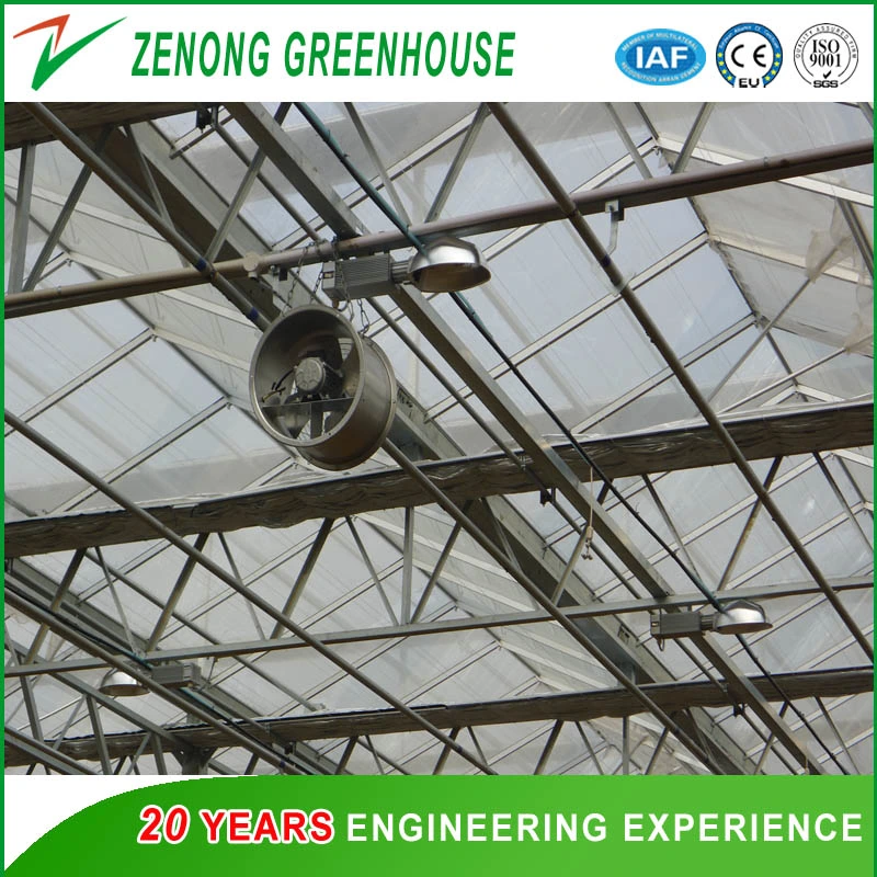 Stainless Steel Greenhouse Circulating Fan