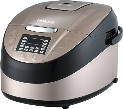 Home Appliance 5L Multifunction Professionnel Electric Rice Cooker